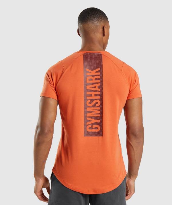 Panske Tricka Gymshark Bold Oranžové | DO8476103